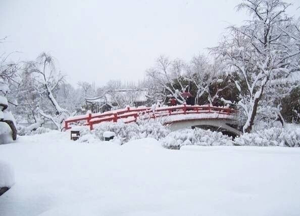 雪后西湖