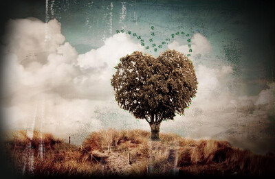 我的爱情是一棵树 永远不会离开一步 风雪多残酷 我想我挺得住 我的生命是一棵树 只愿成为你的归宿