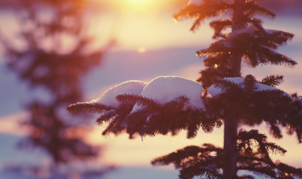 雪景，清晨