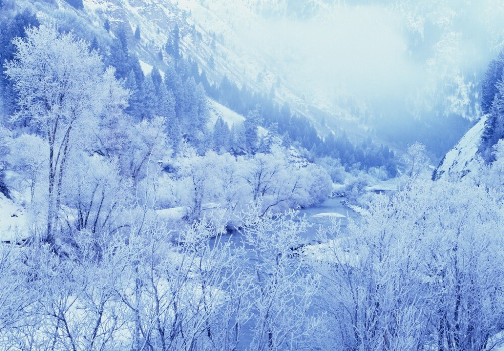 雪景，银装