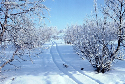 雪景，早晨