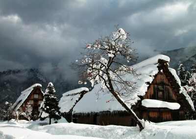 雪景，小屋