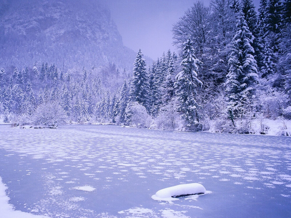 雪景，紫色