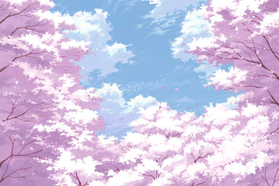 风景。樱花
