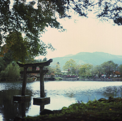 mamiyac330 由布院 金鳞湖