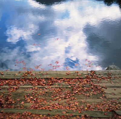 mamiyac330 由布院 金鳞湖