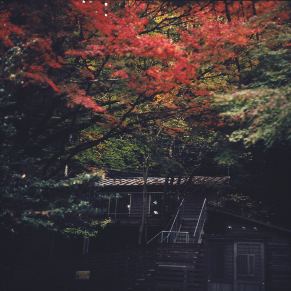 mamiyac330 由布院 金鳞湖