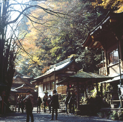 mamiyac330 京都贵船神社