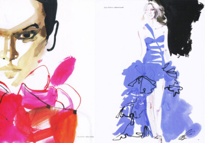 David Downton时尚插画