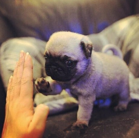 give me five