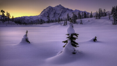 雪景，平原