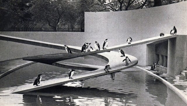 伦敦动物园企鹅水池 London Zoo Penguin Pool by Berthold Lubetkin