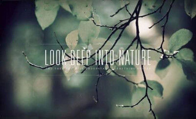 nature