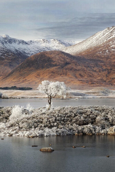 Ghost of Rannoch Moor -- David Breen