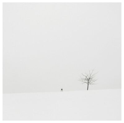 Tauras Beliavcevas[Winter minimalism]