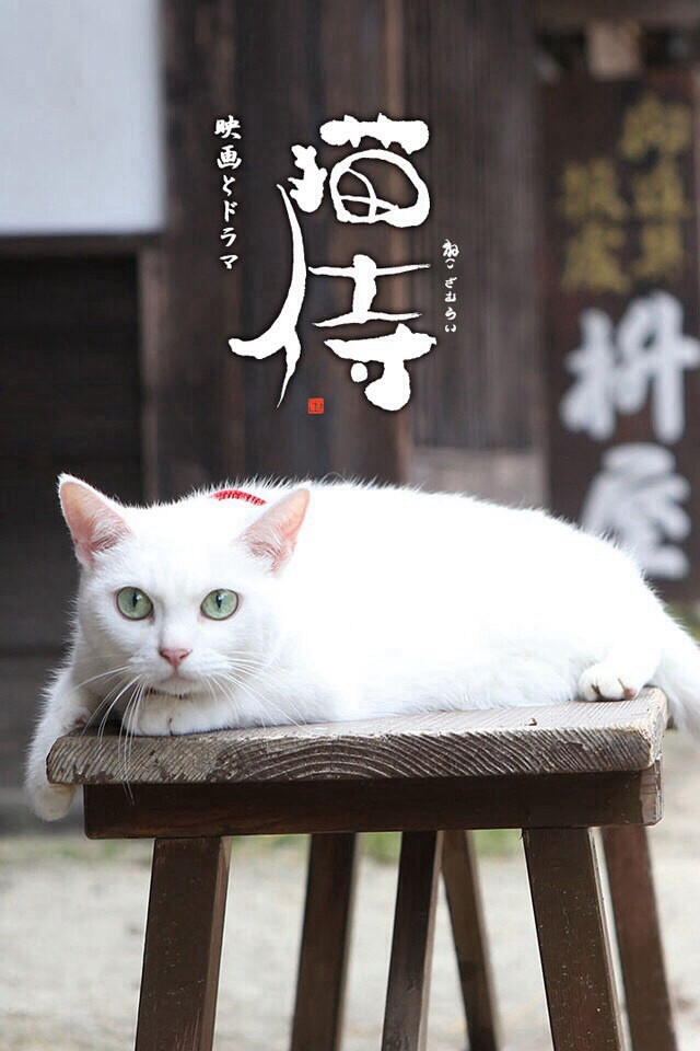 Neko Samurai - 《猫侍》电视剧海报