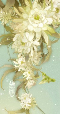 昙花&amp;amp;蜂鸟