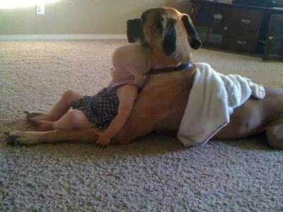 Baby &amp; puppy