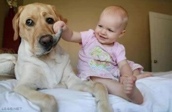 Baby &amp; puppy