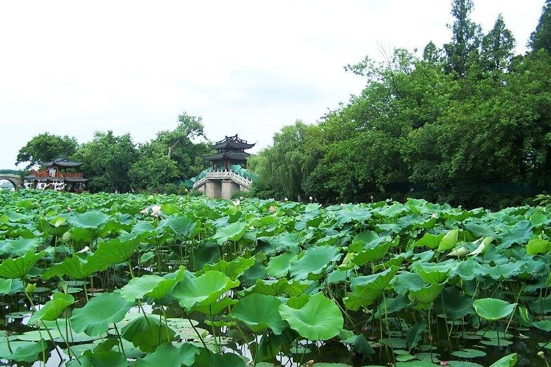 【中国旅游】杭州西湖。“欲把西湖比西子，淡妆浓抹总相宜。”就是描写西子湖畔的经典名句。它位于浙江省杭州市西面，旧称武林水、钱塘湖、西子湖，宋代始称西湖。杭州西湖历史悠久，拥有国家、省、市文物保护单位100余家，博物馆、纪念馆20余座，古迹遍布，被誉为人间天堂。南宋迁都杭州，给西湖带来了前所未有的繁华，出现了名传千载的“西湖十景”：平湖秋月、苏堤春晓、断桥残雪、雷峰夕照、南屏晚钟、曲院风荷、花港观鱼、柳浪闻莺、三潭印月、双峰插云。虽然现在还没去过，以后有机会一定要去看看。曦