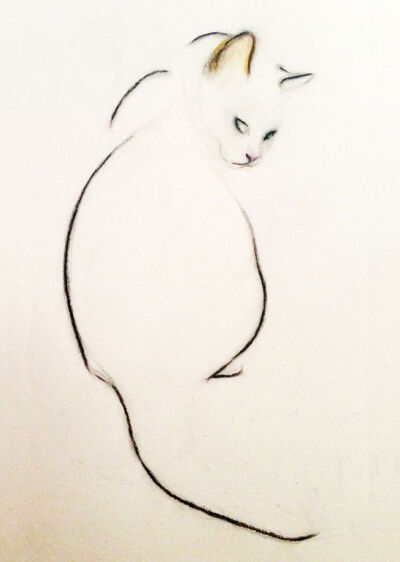 Charcoal Pencil Cat.