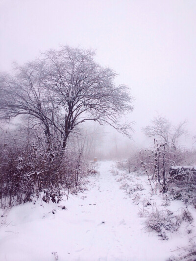 雪