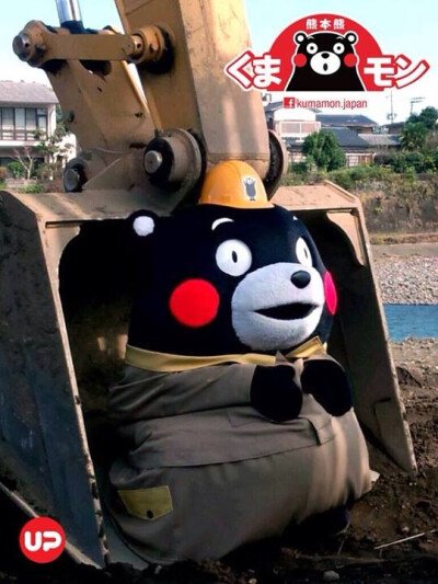 kumamon