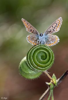 我们都是小不点