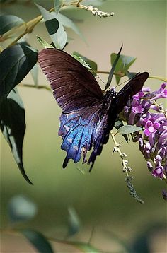 有时，生命中偶遇的美丽，真的无以言表