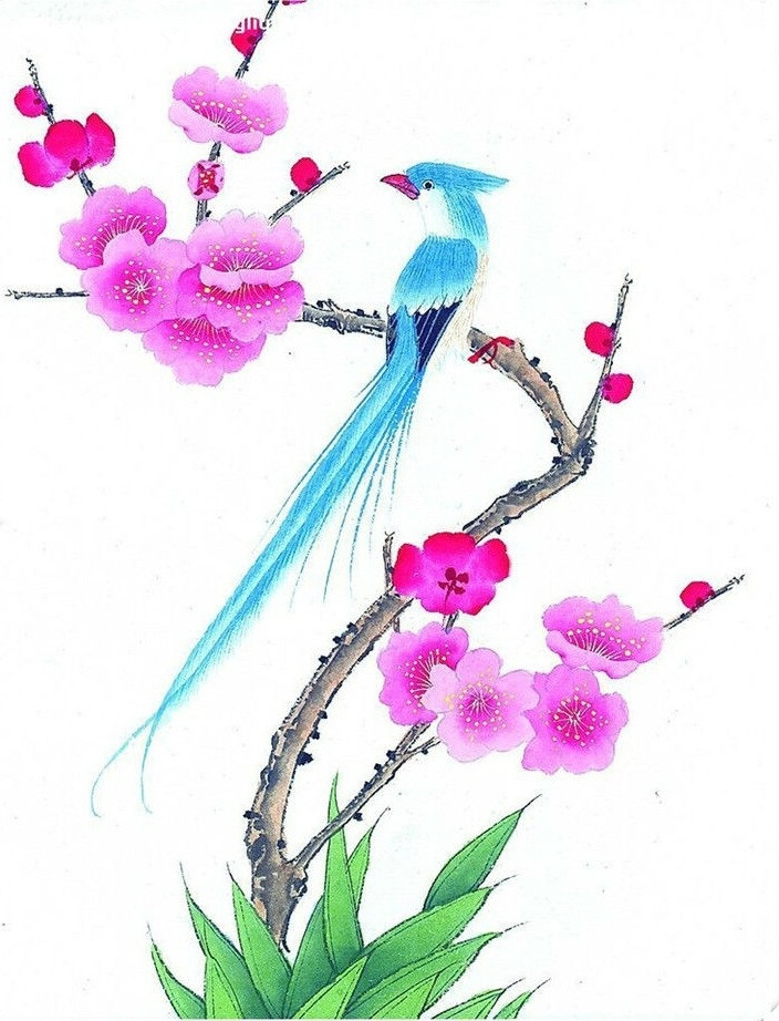 花鸟
