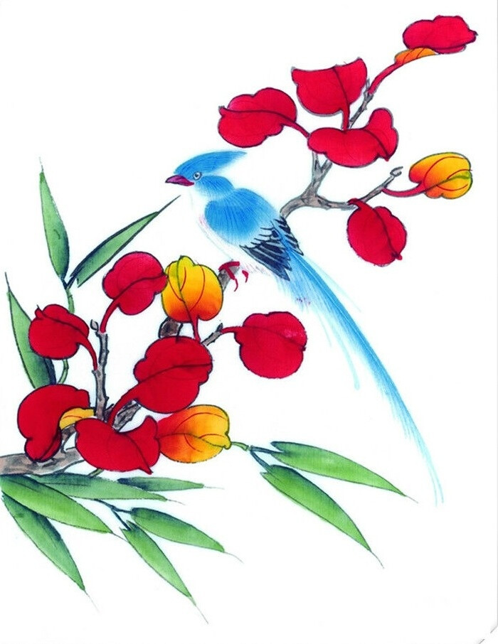 花鸟