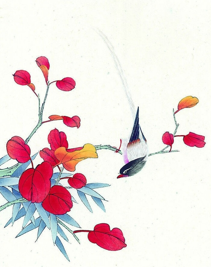 花鸟