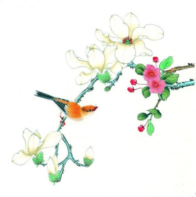 花鸟