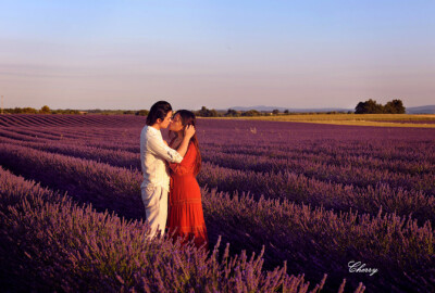 瓦朗索尔薰衣草田（Lavender field Valensole, France）