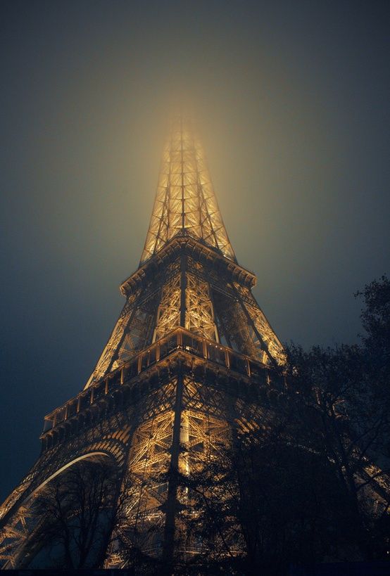 Eiffer Tower，浪漫的夜景