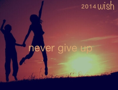 2014新年新愿望：never give up永不放弃