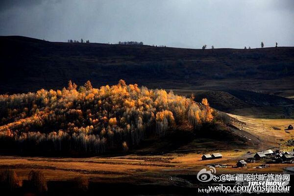 你见，或者不见，喀纳斯就在那里，它远在天边，却也近在眼前，它神秘又美，时常出现在我的梦乡。《喀纳斯の静好时光》。 珍别2013，迎接2014。你的2013喀纳斯时光是什么样的呢？晒出你的2013喀纳斯照片，赢取喀纳斯为你精心准备的新年礼物，赶快来参加吧！活动将持续到除夕夜，大家赶快来参加吧，赢取喀纳斯精心准备的新年礼物。 微博关注：@新疆喀纳斯旅游网