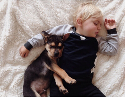 puppy &amp;amp; baby have a sleep......