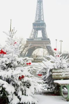 Eiffel Tower 的雪景