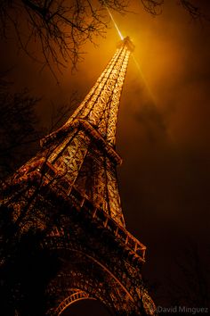 Eiffel Tower 的夜景