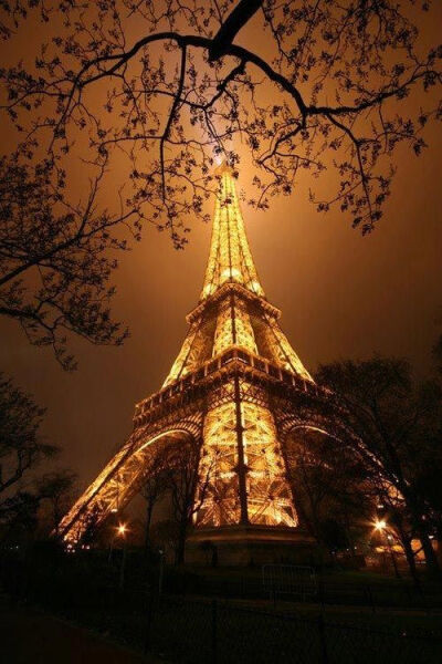 越夜越美丽-----Eiffel Tower In Lighting