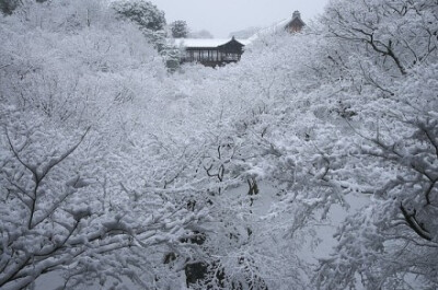 你不知道，有雪的时候最美了