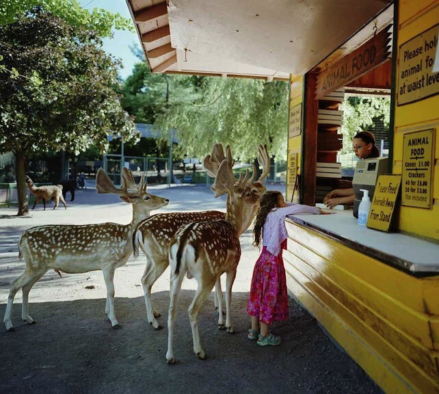 美国新泽西州的女摄影师Robin Schwartz拍摄女儿《艾米利亚的世界：亲密动物》