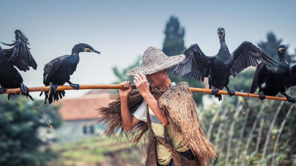 Traditional Chinese Fisherman