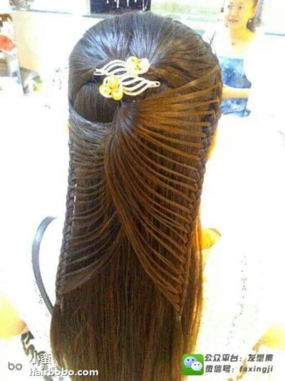 发型编发