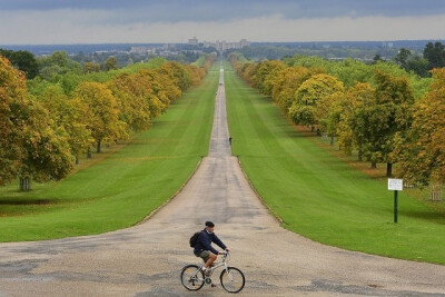 Windsor Great Park