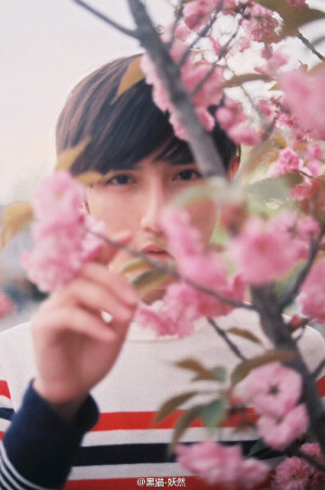  院子里的花开的时候，你来这里拍过一张照。现在花都败了，却也长出了茂盛的枝叶。你的样子，也渐渐的没有那么清晰了。只记得你来时说过……（图里人@黄靖翔 摄影：黑猫