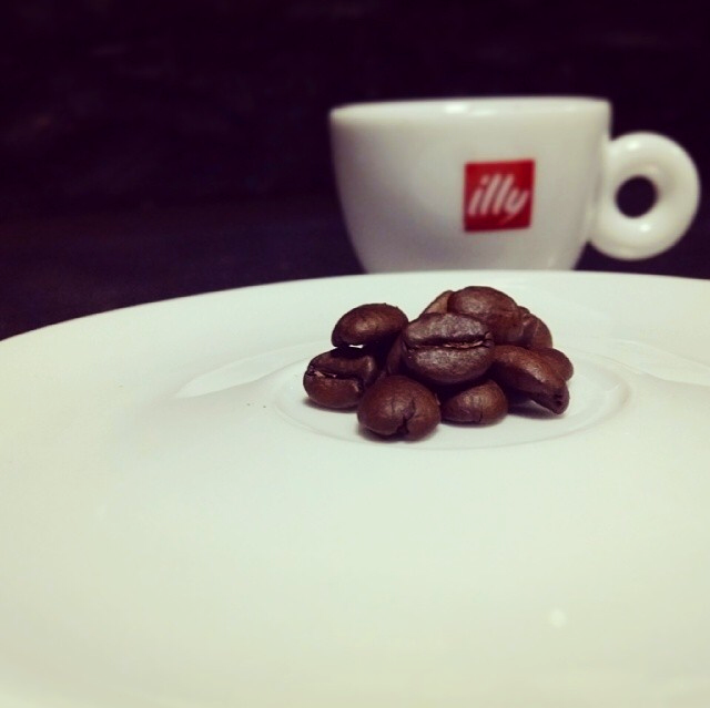 illy 百分百阿拉比加