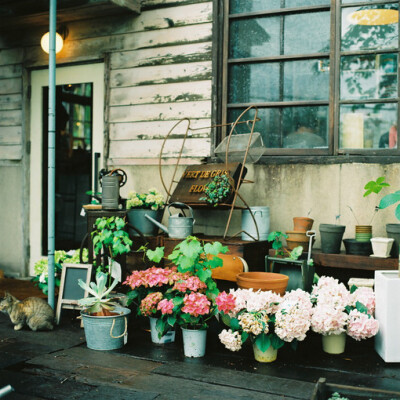 街角的花店。