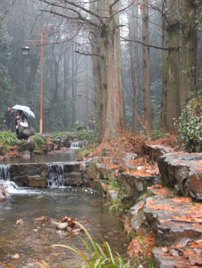 要是能住在这里多好……可惜我只是以一个路人的脸庞与它邂逅在烟雨蒙蒙。